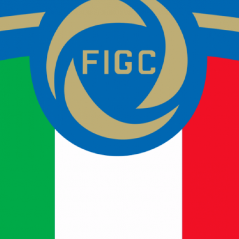 Figc logo