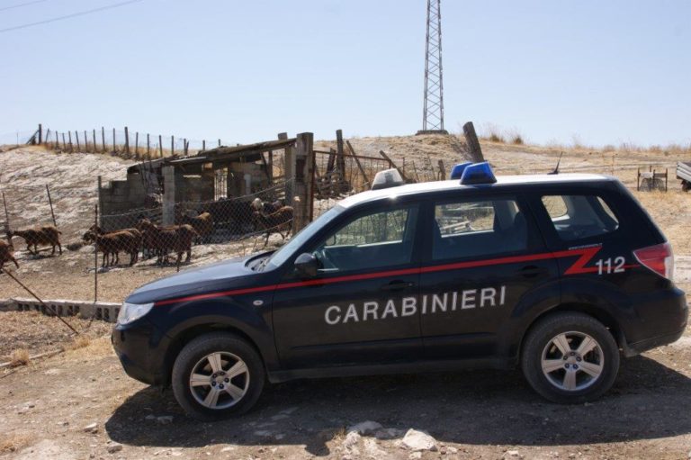 Carabinieri