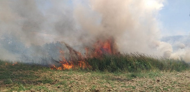 incendio