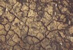 terreno arido siccità