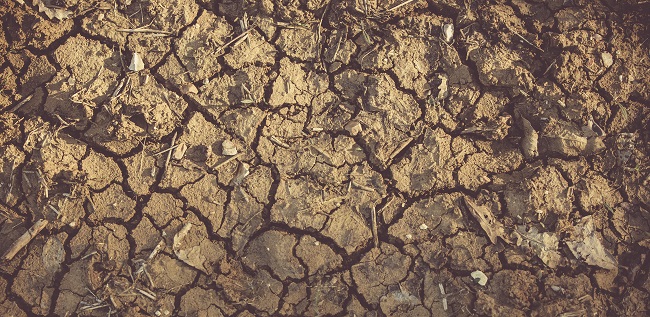 terreno arido siccità